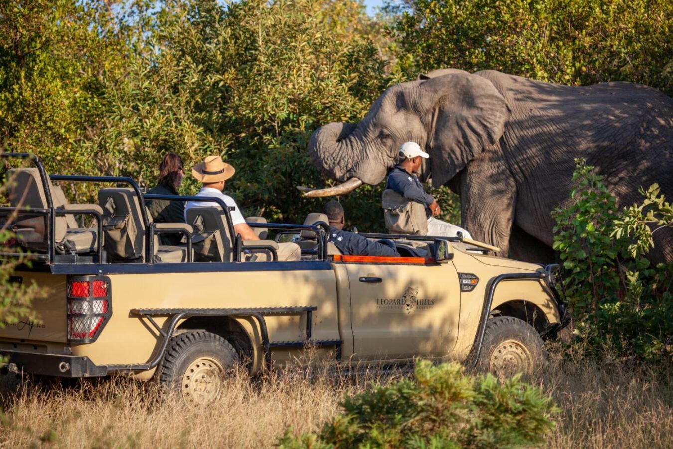 Leopard Hills Private Game Reserve เขตอนุรักษ์พันธุ์สัตว์ป่าซาบีแซนด์ ภายนอก รูปภาพ