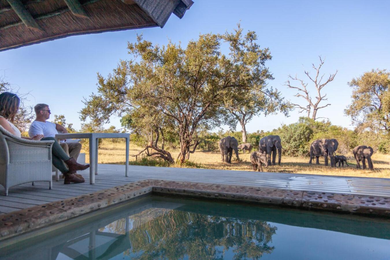 Leopard Hills Private Game Reserve เขตอนุรักษ์พันธุ์สัตว์ป่าซาบีแซนด์ ภายนอก รูปภาพ