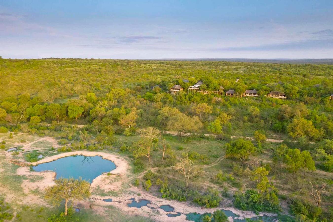 Leopard Hills Private Game Reserve เขตอนุรักษ์พันธุ์สัตว์ป่าซาบีแซนด์ ภายนอก รูปภาพ