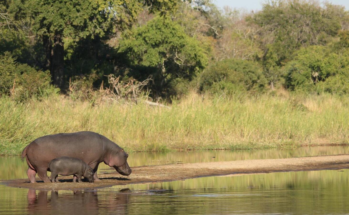 Leopard Hills Private Game Reserve เขตอนุรักษ์พันธุ์สัตว์ป่าซาบีแซนด์ ภายนอก รูปภาพ