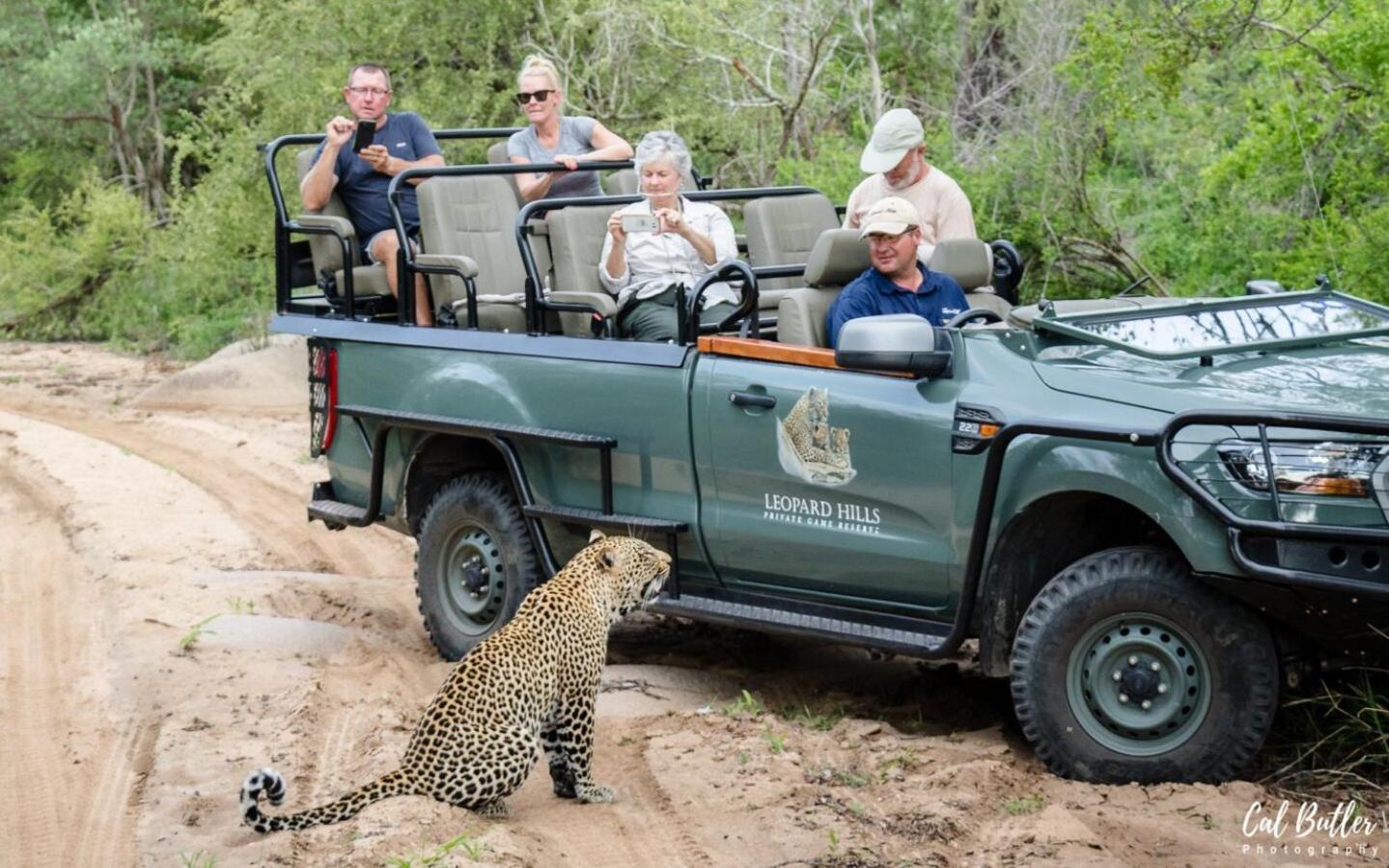 Leopard Hills Private Game Reserve เขตอนุรักษ์พันธุ์สัตว์ป่าซาบีแซนด์ ภายนอก รูปภาพ