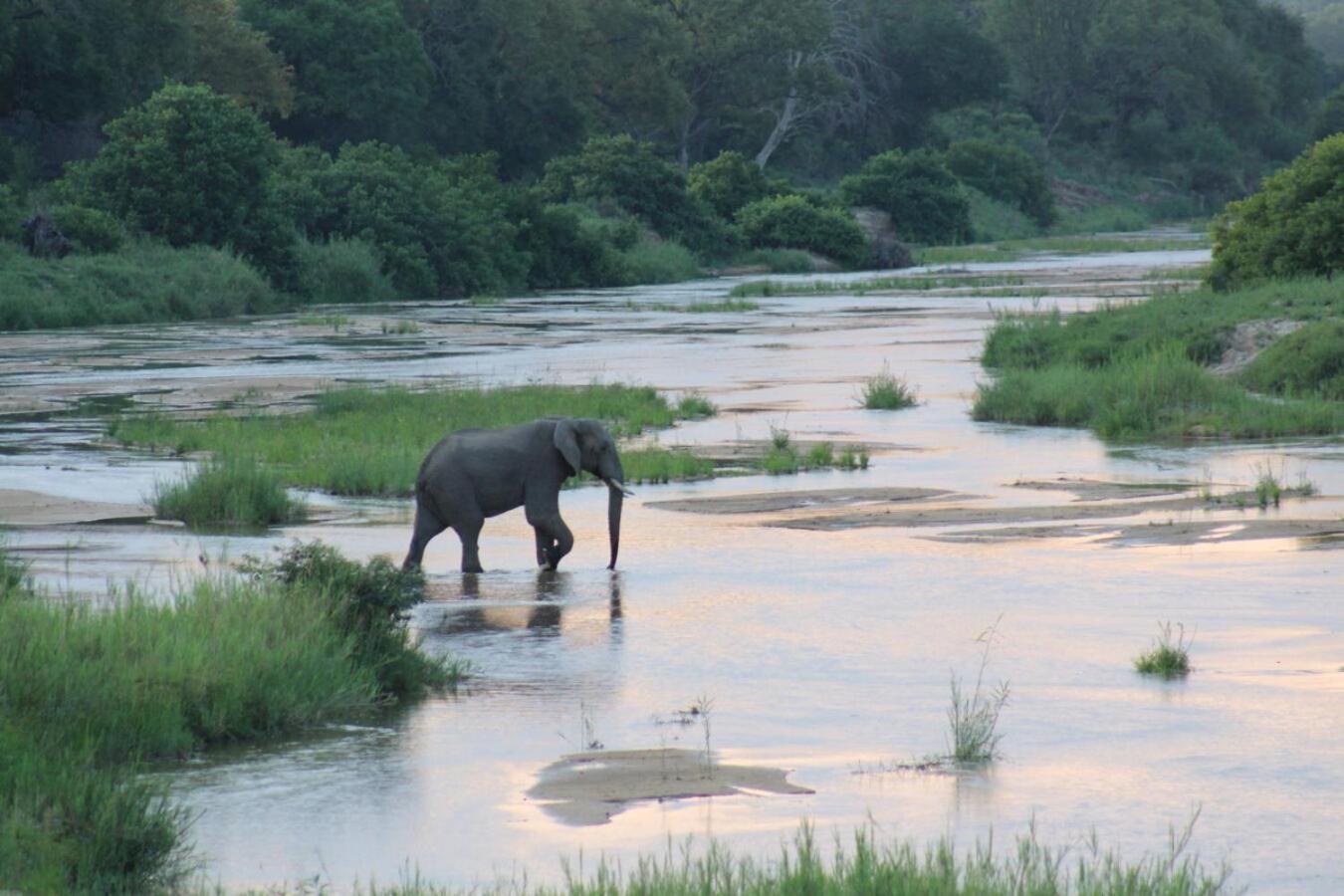 Leopard Hills Private Game Reserve เขตอนุรักษ์พันธุ์สัตว์ป่าซาบีแซนด์ ภายนอก รูปภาพ